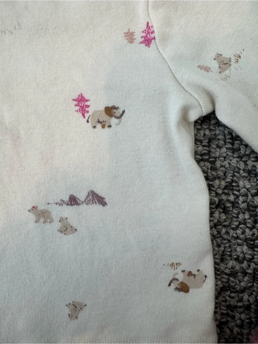 Carter’s Fuzzy Bear Jumper Set (NWOT)